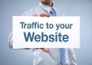 send 4,000+ Real Traffic to your website