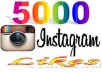 add 5000 Verified Instagram Photo Likes or 10,000 Twitter Followers in your account 