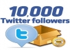 provide instant 12000+ 12k twitter followers in your account